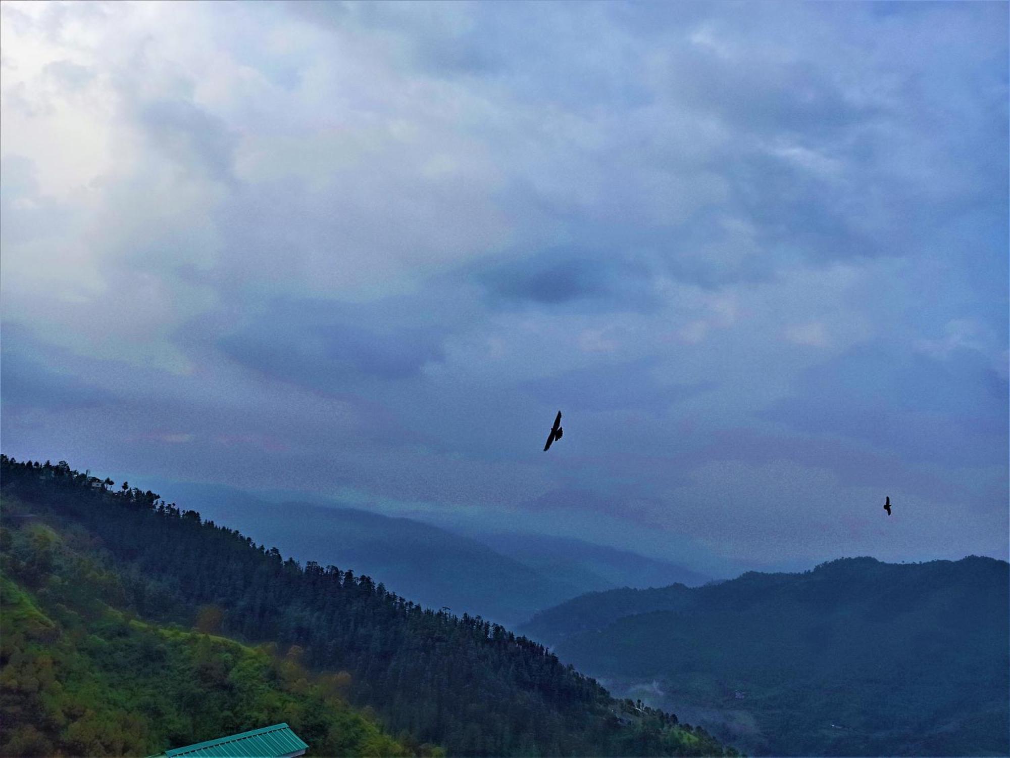 Mountain And Peace Lejlighed Shimla Eksteriør billede